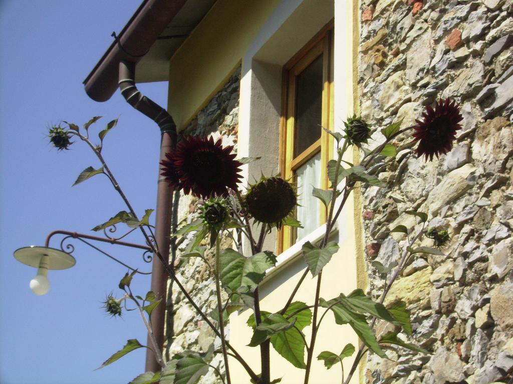 Il Girasole Bed and Breakfast Fosdinovo Eksteriør billede